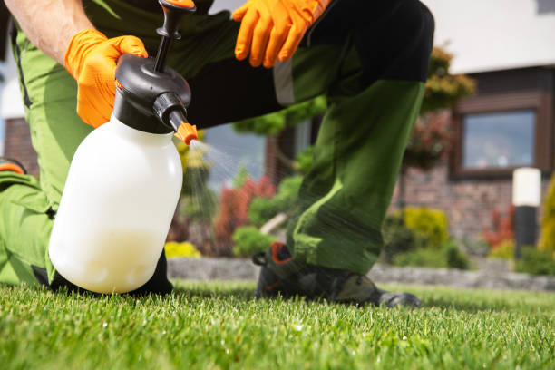 Best Ant Control Services  in Lake Mary Jane, FL