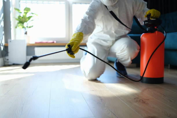 Best Pest Removal Services  in Lake Mary Jane, FL